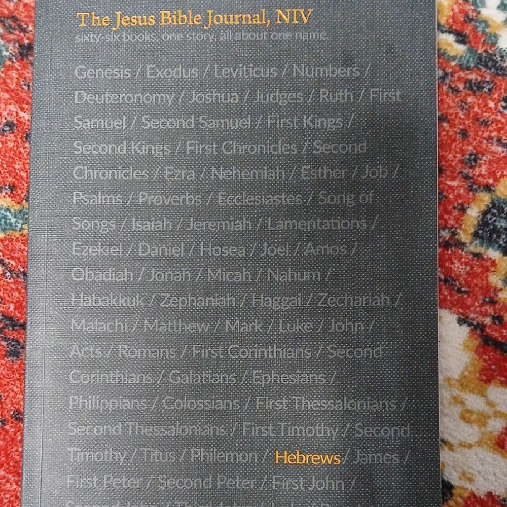 The Jesus Bible Journal, NIV